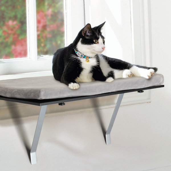 Tucker Murphy™ Pet Cat Window Seat Perch Pet Sunny Seat Cat Bed For Window Sill Mounted Indoor